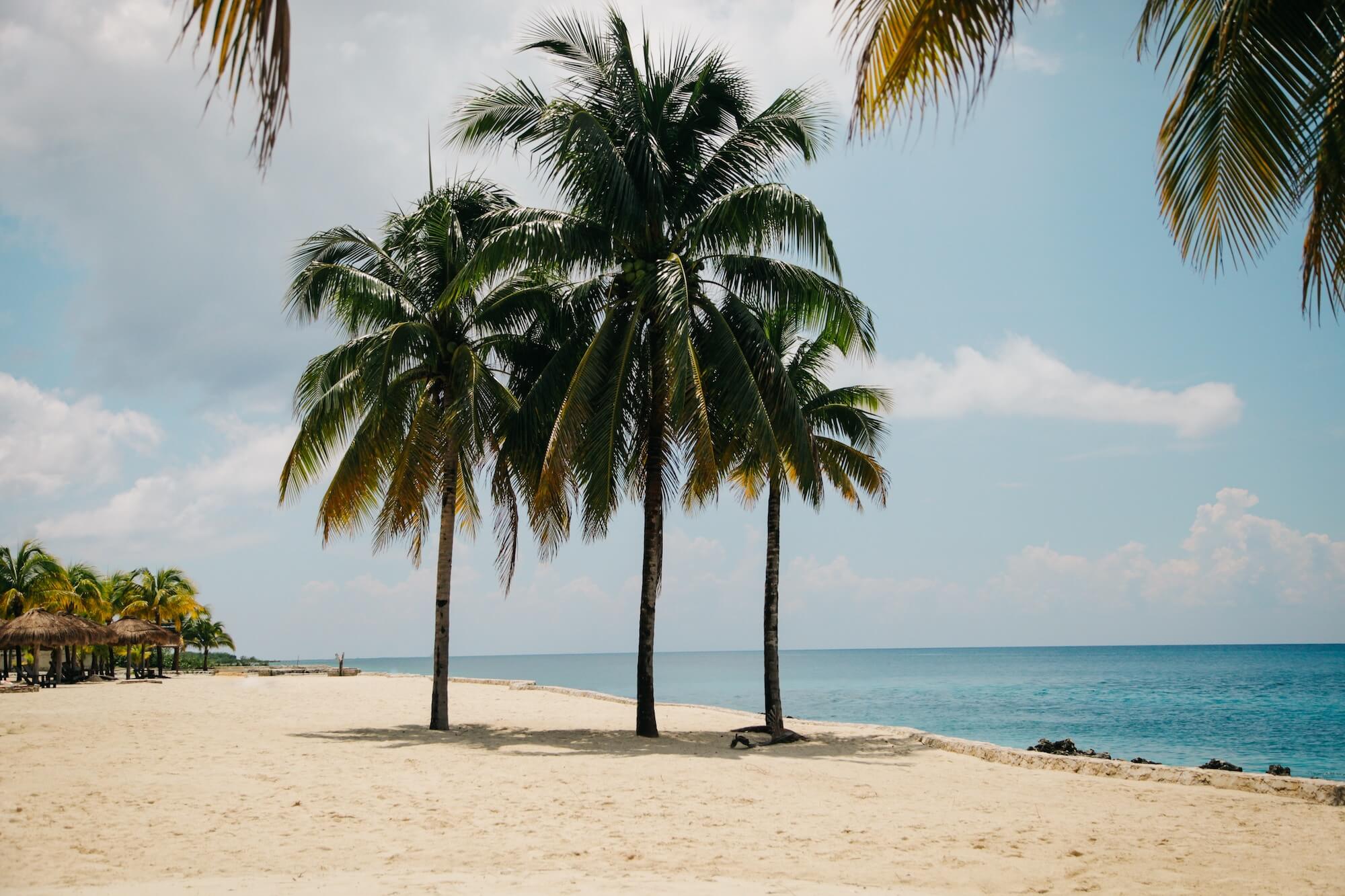 Clem Onojeghuo 111588 Unsplash
